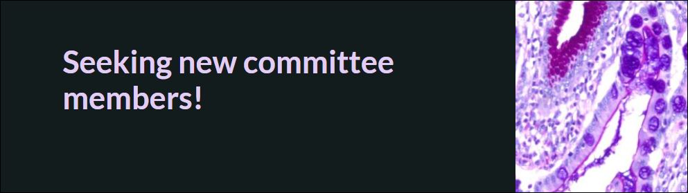 Seeking new committee members – Nominate by 13th of October 2023