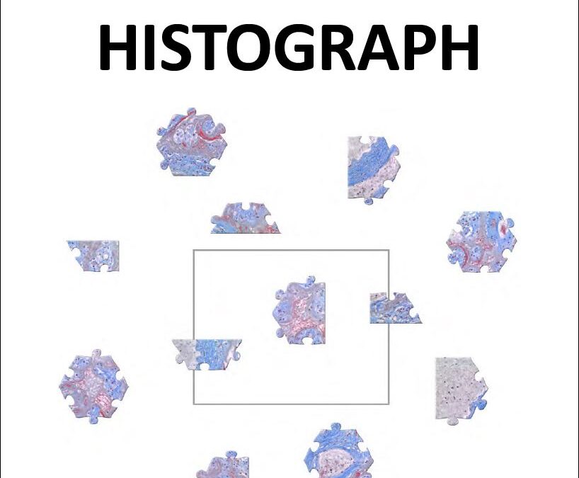 HISTOGRAPH August 2023 2nd Edition – Available for Members Now